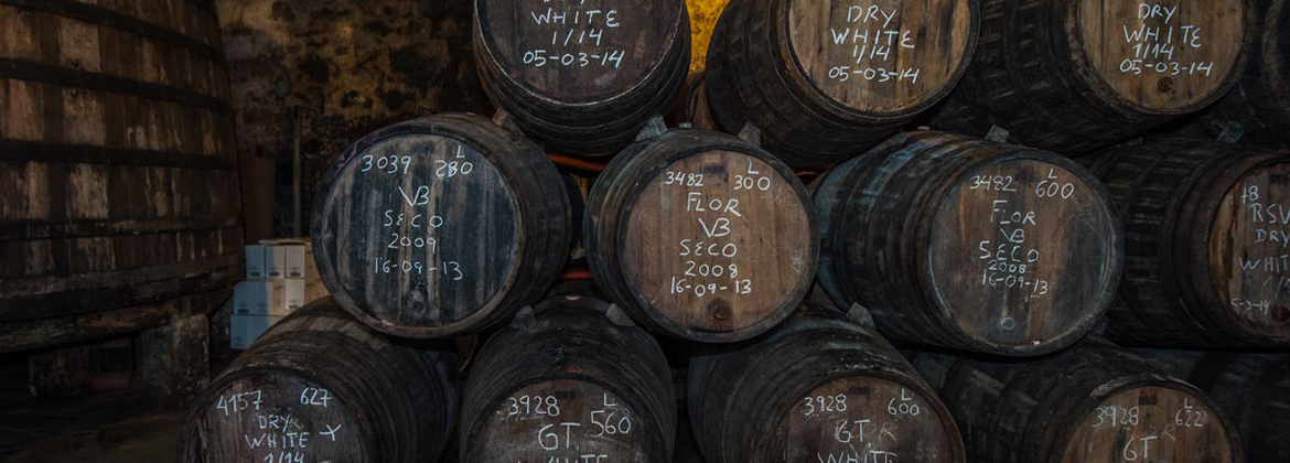 INTERNATIONAL WINE CHALLENGE MERCHANT AWARDS
