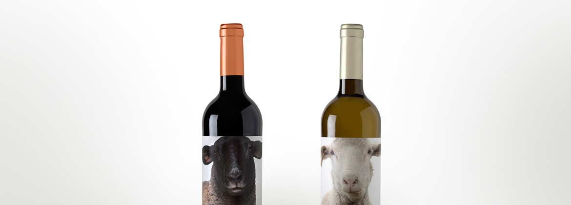 OVEJA DE BODEGAS FONTANA