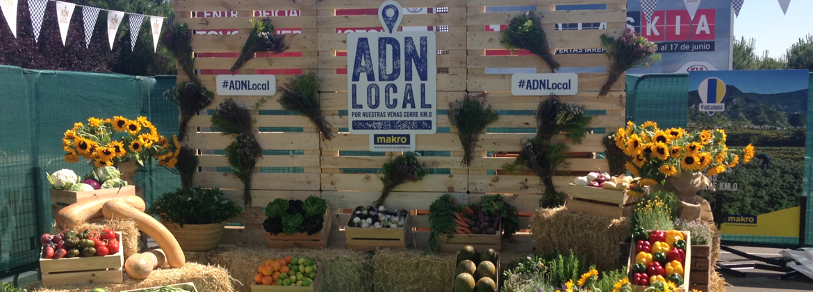 MAKRO ADN LOCAL