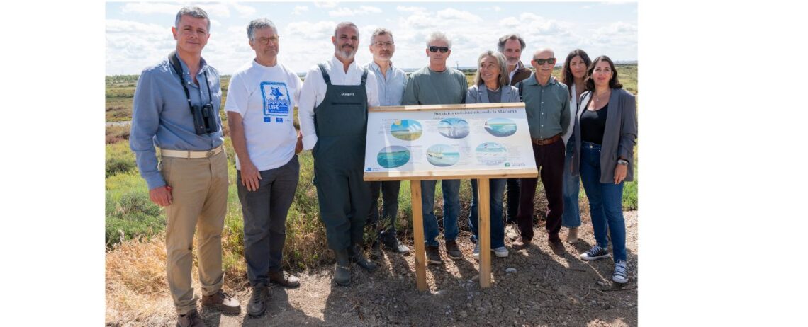 APONIENTE Y ECOLOGISTAS EN ACCIÓN PRESENTAN UN NUEVO MODELO DE GESTIÓN DE LA SALINA SAN JOSÉ EN CÁDIZ, UN ESPACIO RESTAURADO QUE ABRE LA MARISMA A LA CIUDADANÍA